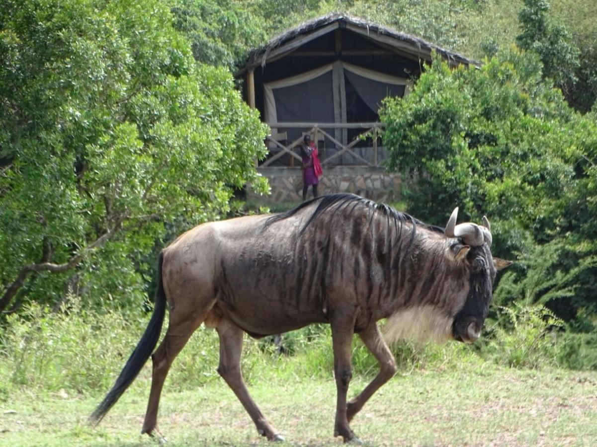 Fig Tree Camp - Maasai Mara Hotel Talek Ngoại thất bức ảnh