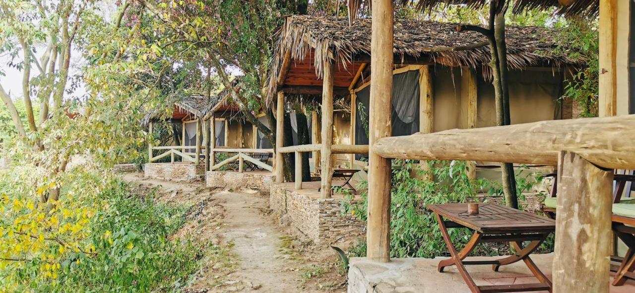 Fig Tree Camp - Maasai Mara Hotel Talek Ngoại thất bức ảnh