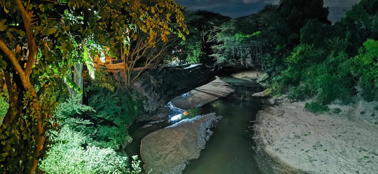 Fig Tree Camp - Maasai Mara Hotel Talek Ngoại thất bức ảnh